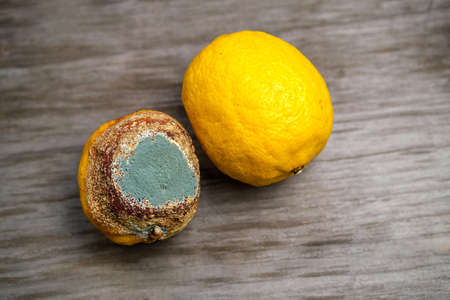 Rotten and fresh lemons on a blurry wooden background. Selective focus. Space for lettering and designの写真素材