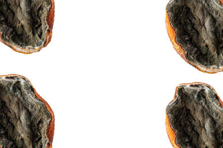 Composition from fragments of rotting fruit on a light background. A minimalistic concept of...