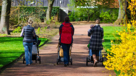 Horizontal color image of 3 female friends taking a walk in a park with their children in push chairsの写真素材