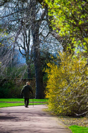 Vertical color image of an elderly man taking a walk on a sunny day in batanic gardens の写真素材