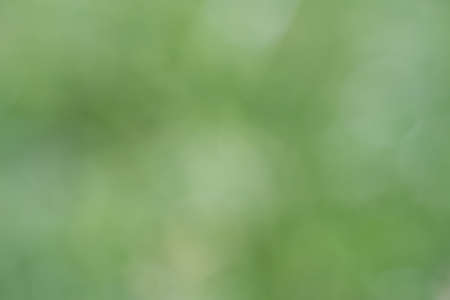 Blurred Light effect background, abstract light background, light leaks, can be used in different blending modes to enhance photography imagesの写真素材