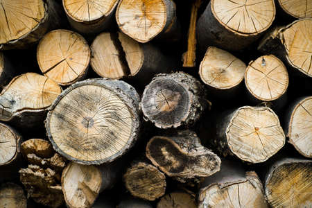 Pile of firewood logsの写真素材