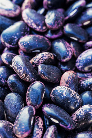 Purple beans on white background close upの写真素材