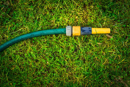Garden water hose, gardening hobby conceptの写真素材