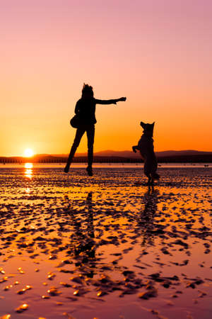 Hipster girl playing with dog at a beach during sunset, silhouettes with vibrant colorsの写真素材