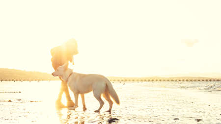 Hipster girl playing with dog at a beach during sunset, strong lens flare effectの写真素材
