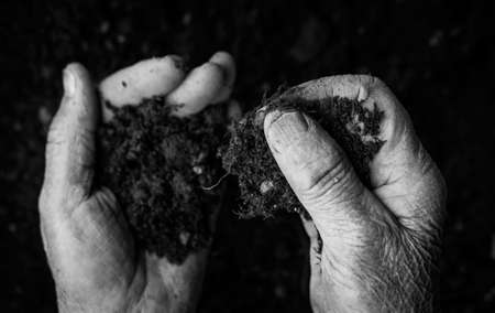 Old woman hands holding fresh soil. Symbol of spring and ecology conceptの写真素材