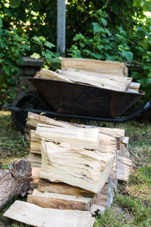 Cut firewood in wheelbarrowの写真素材