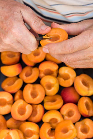 Anonymous man halving fresh homegrown apricotsの写真素材