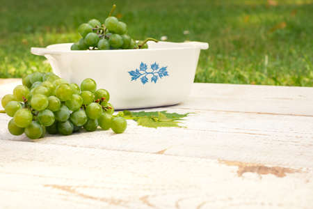 Grapes on white wooden vintage tableの写真素材