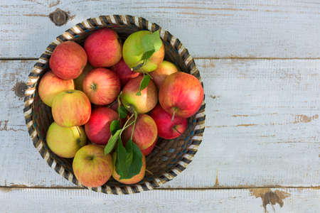 Organic apples in basket, on white vintage wooden background, fresh homegrown produceの写真素材