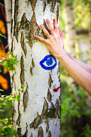 Person making colorful handprints on a birch treeの写真素材