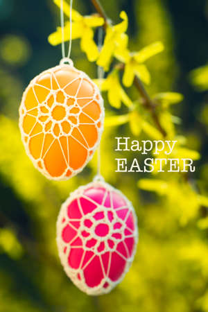 Beautiful Easter eggs hanging from a blooming Forsythia