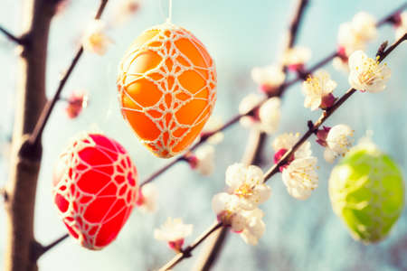 Colorful Easter eggs hanging from a blossoming apple treeの写真素材