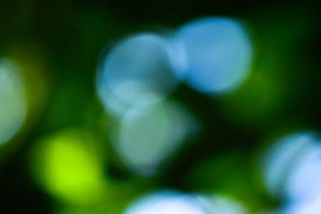 Green blurred background with bokehの写真素材