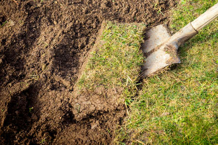 Lawn diggingの写真素材