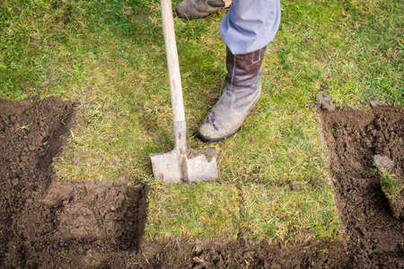 Man using spade for old lawn diggingの写真素材