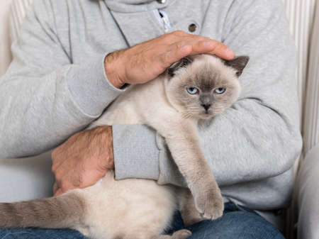 Man sitting in an armchair, holding his gorgeous pet catの写真素材