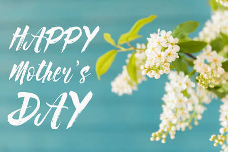 Beautiful white flowers in a vase, on blue wooden background, Mother's day conceptの写真素材