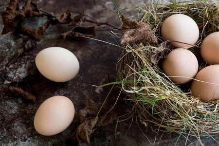 Many natural easter eggs in a birds nest, happy easter concept background