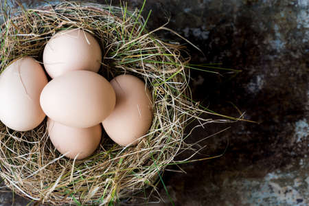 Many natural easter eggs in a birds nest, happy easter concept backgroundの写真素材