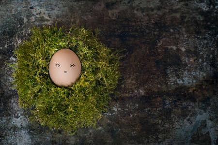 One Easter egg in a moss nest, happy easter concept, retro Easter backgroundの写真素材