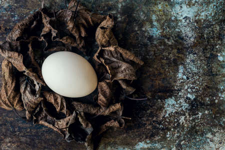 Uncolored natural easter eggs, happy easter concept, retro easter background