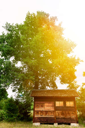 Cute vintage wooden apiary with beehivesの写真素材