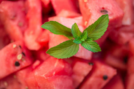 Red sweet watermelon pieces garnished with fresh mintの写真素材