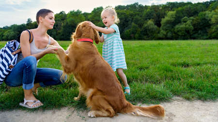 Adorable little blond girl smiling and hugging her cute pet dog golden retrieverの写真素材