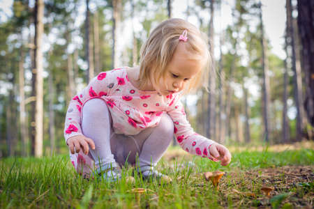 Cute blond toddler girl picking mushrooms in a forest.の写真素材