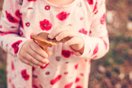 Unrecognisable toddler girl picking mushrooms in a forest. Happy child holding a mushroomの写真素材