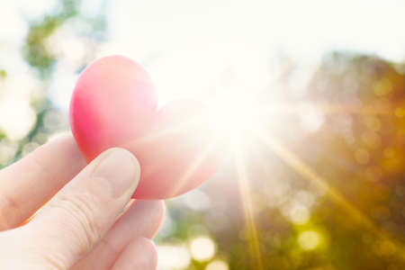 Unrecognisable person holding heart shaped plum against the sun. Love concept lifestyle image with sunflare. Valentine's day background.の写真素材