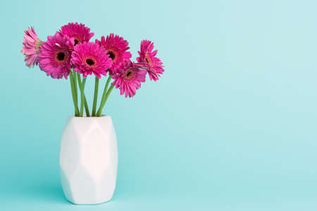 Dark pink gerberas in a vase.の写真素材