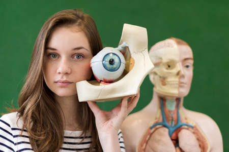 Young female high school student holding human eye model. Student examining Biology class teaching aids.の写真素材