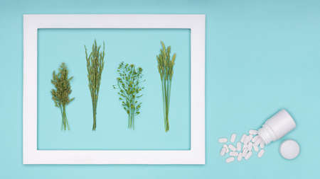 Allergy. Allergens, antihistamin pills, seasonal allergies. Minimal flat lay grass pollen allergy concept.の写真素材
