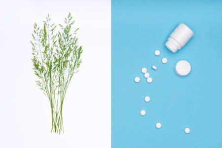 Allergy. Allergens, antihistamin pills, seasonal allergies. Minimal flat lay grass pollen allergy concept.の写真素材