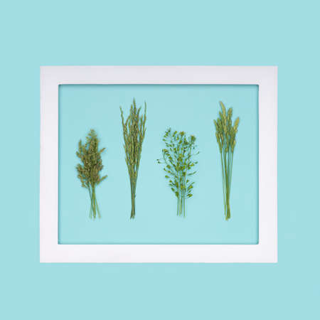 Allergy, Allergens, Seasonal allergies. Minimal Grass Allergy flat lay concept.