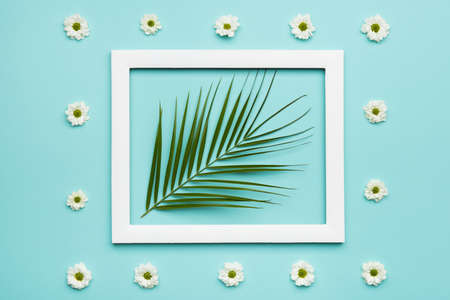 Summer Feel Pastel Blue Candy Colours Background. Flat lay minimalism concept with palm leaf and picture frame mock up.の写真素材