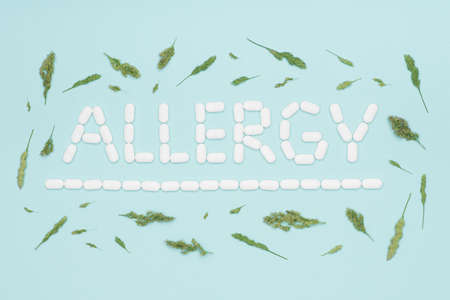 Allergy. Allergens, antihistamin pills, seasonal allergies. Minimal flat lay grass pollen allergy concept.の写真素材