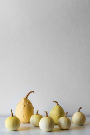 Happy Thanksgiving Background. Selection of various pumpkins on white shelf against white wall. Modern minimal autumn inspired room decoration.の写真素材