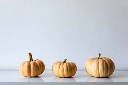 Happy Thanksgiving Background. Three pumpkins on white shelf against white wall. Modern minimal autumn inspired room decoration.の写真素材