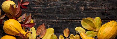 Happy Thanksgiving Banner. Selection of various pumpkins on dark wooden background. Autumn...