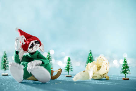 Sad Santas Helper Elf Sitting on Sledge Looking At Broken Christmas Bauble. North Pole Christmas...