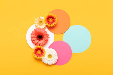 Happy Mother's Day, Women's Day, Valentine's Day or Birthday Pastel Colored Background. Flat lay mock up greeting card with beautiful gerbera flowers.の写真素材