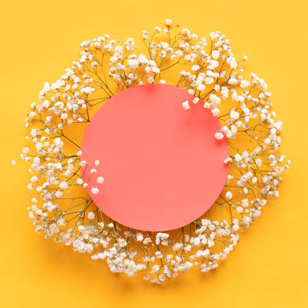 Happy Mother's Day, Women's Day, Valentine's Day or Birthday Bright Yellow and Living Coral Background. Flat lay greeting card with beautiful little white flowers on yellow paper background.の写真素材