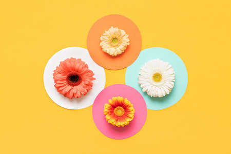 Happy Mother's Day, Women's Day, Valentine's Day or Birthday Pastel Colored Background. Flat lay mock up greeting card with beautiful gerbera flowers.の写真素材