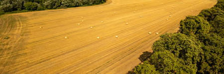 Aerial view of agricultural fields with straw bales. Top view of a landscape with hay rolls after autumn harvest. Agricultural banner.の写真素材