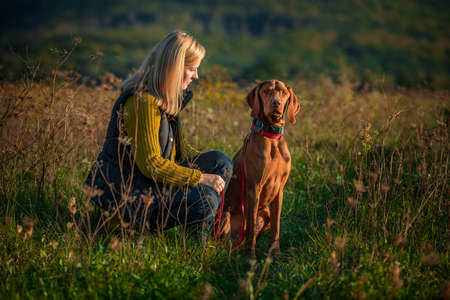 Mature woman walking her beautiful hungarian vizsla. Dog walking background. Woman and hunting dog enjoying nature walk on a sunny autumn evening.の写真素材