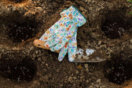 Gardening. Soil preparation before planting in the garden. Digging holes, adding chicken manure pellets and compost. Organic gardening, eco friendly fertilizer. Top view.の写真素材
